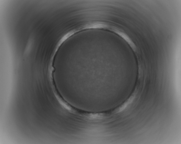 X0000115410850200911101610