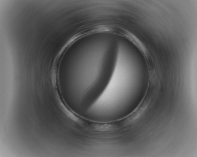 X0000115410851200911101610