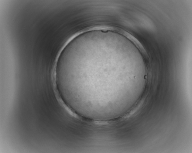 X0000115410852200911101610