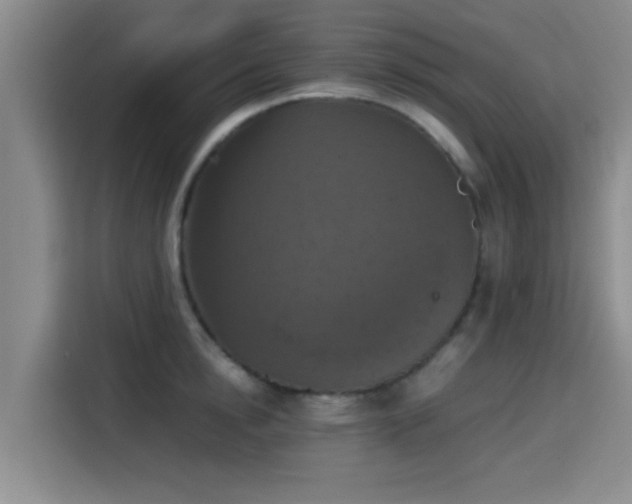 X0000115410854200911101610