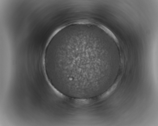 X0000115410855200911101610