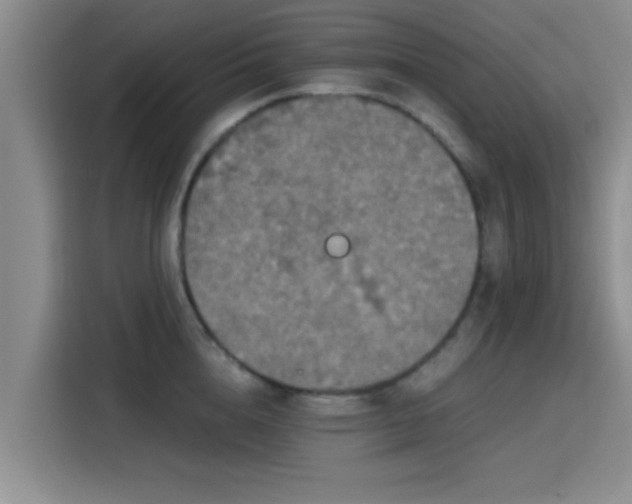 X0000115410856200911101610