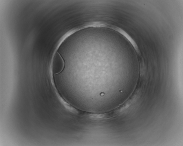 X0000115410861200911101610