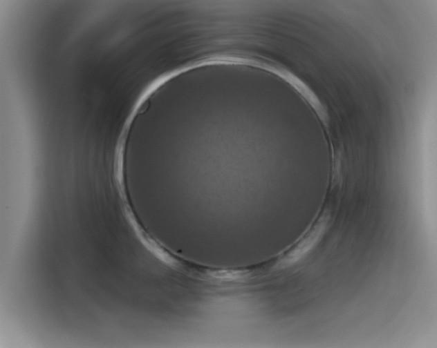X0000115410862200911101610