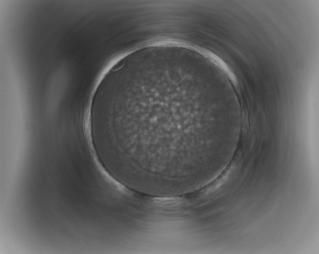 X0000115410863200911101610