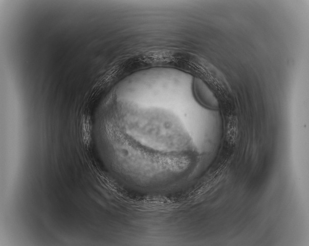X0000115410866200911101609