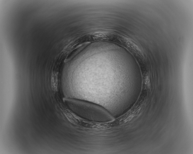 X0000115410868200911101609