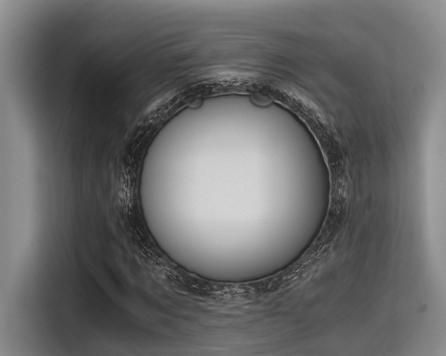X0000115410869200911101609