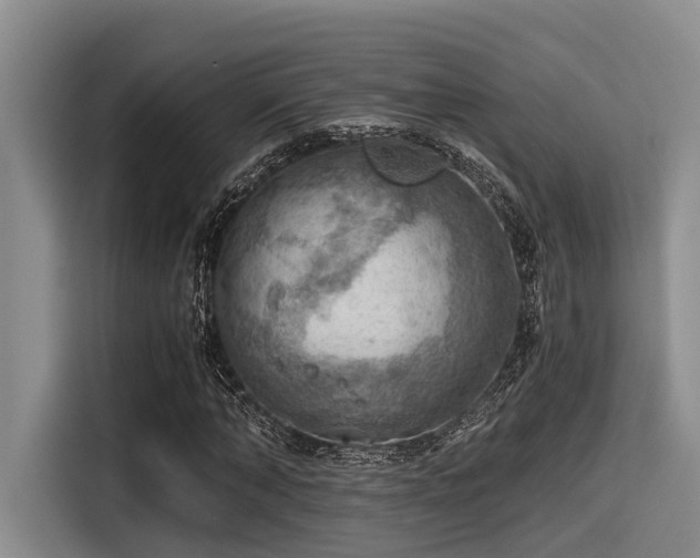 X0000115410870200911101609