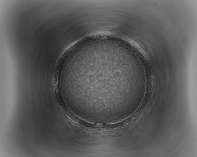 X0000115410872200911101609