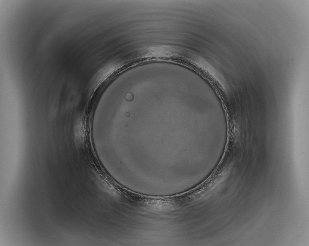 X0000115410874200911101609