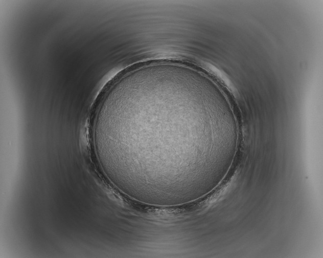 X0000115410875200911101609