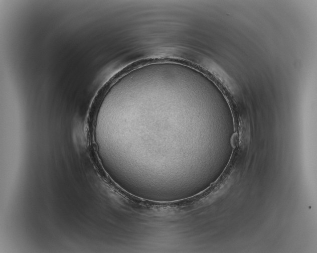 X0000115410876200911101609