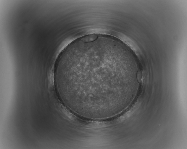 X0000115410877200911101609
