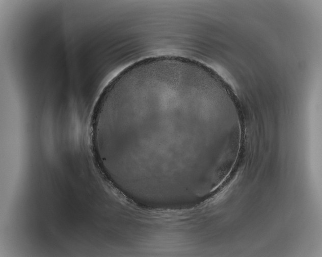 X0000115410879200911101609