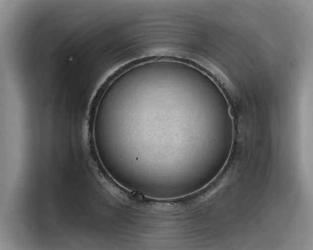 X0000115410880200911101609