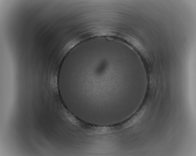 X0000115410881200911101609