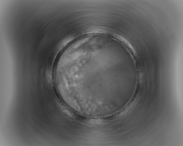 X0000115410882200911101609