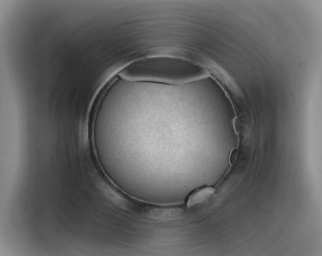 X0000115410884200911101609