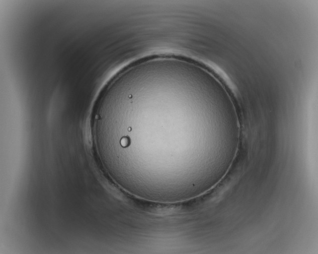X0000115410887200911101609