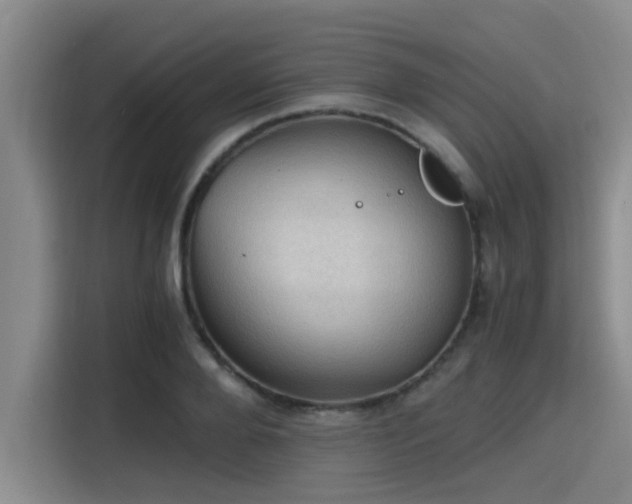 X0000115410888200911101609