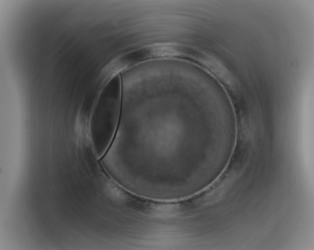 X0000115410889200911101609