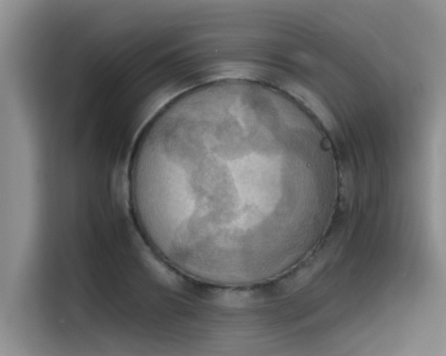 X0000115410890200911101609