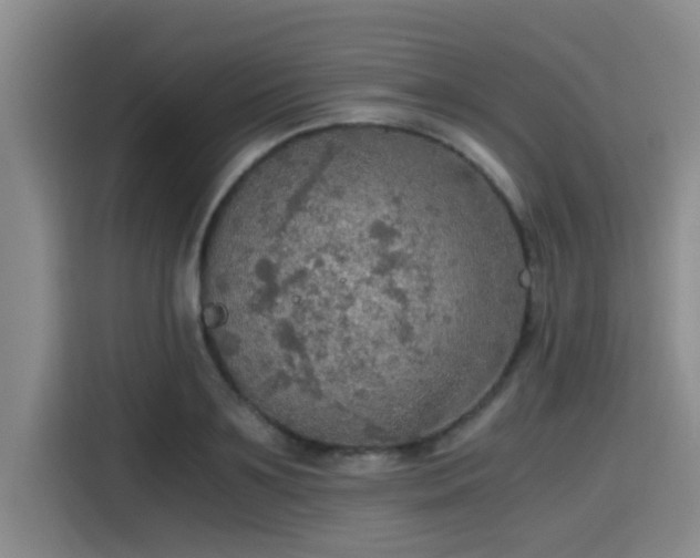 X0000115410891200911101609