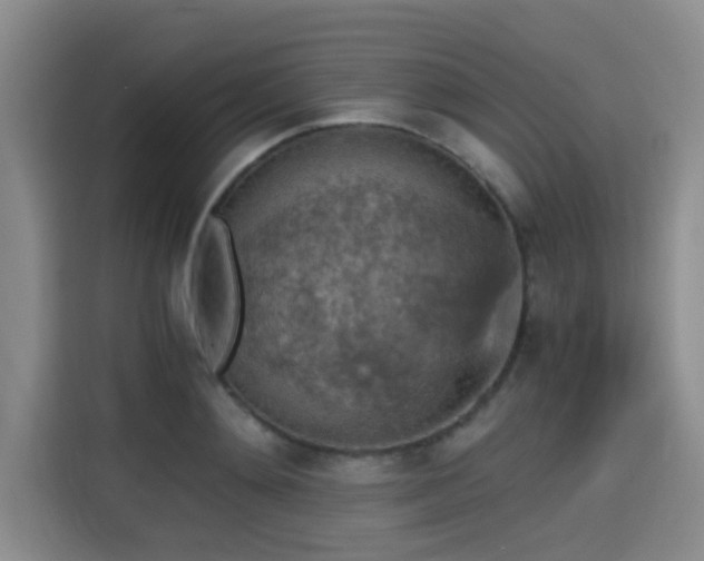 X0000115410892200911101609