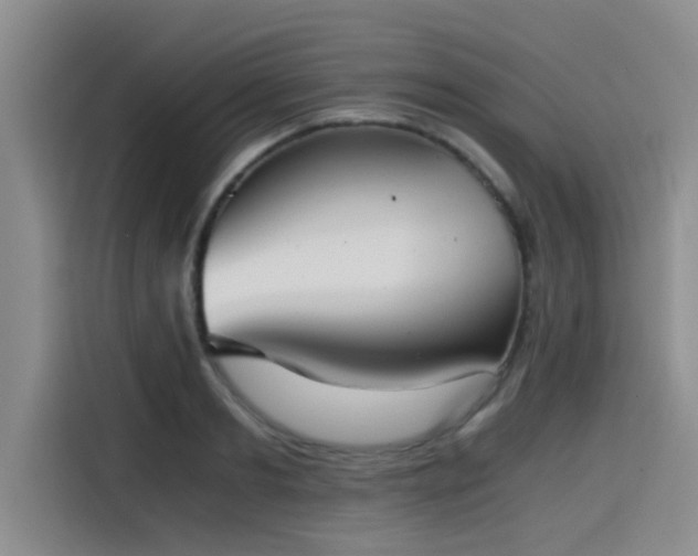 X0000115410893200911101609