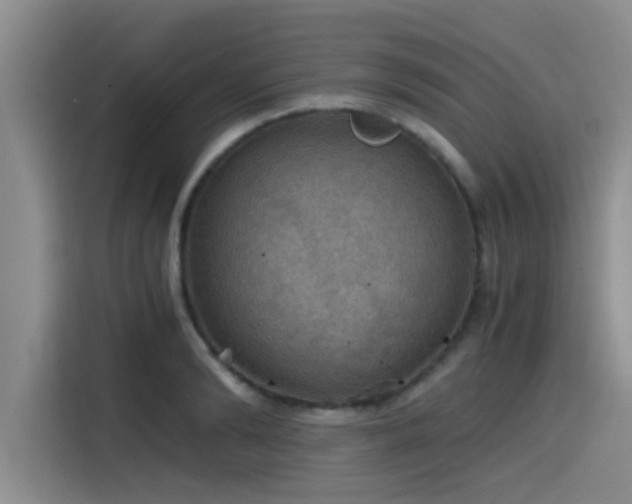 X0000115410894200911101609