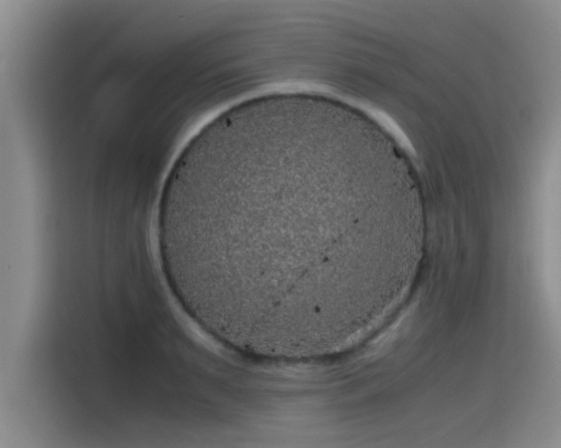 X0000115410895200911101609