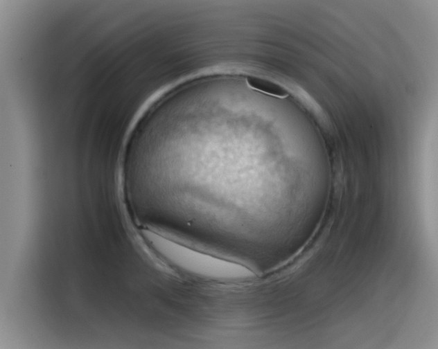 X0000115410896200911101609