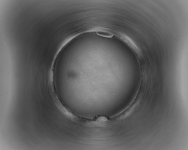 X0000115410900200911101609