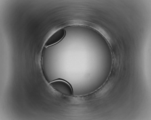 X0000115410901200911101609