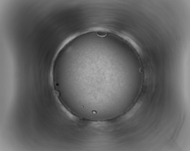 X0000115410902200911101609
