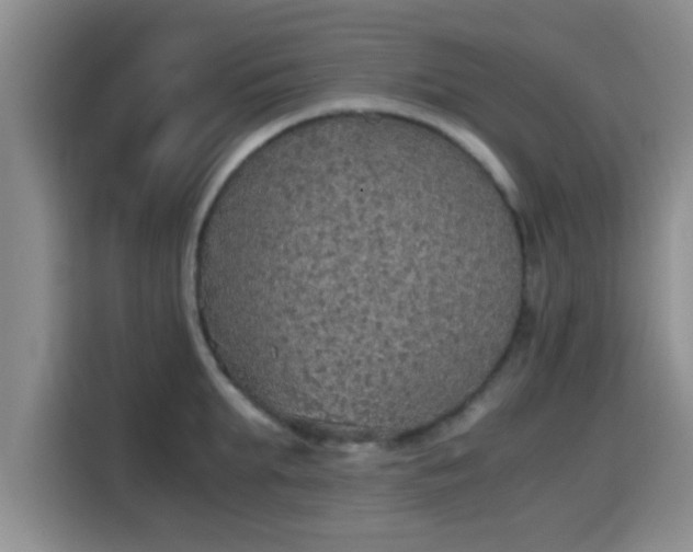 X0000115410903200911101609