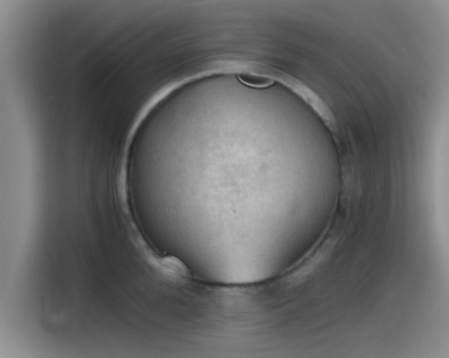 X0000115410904200911101609