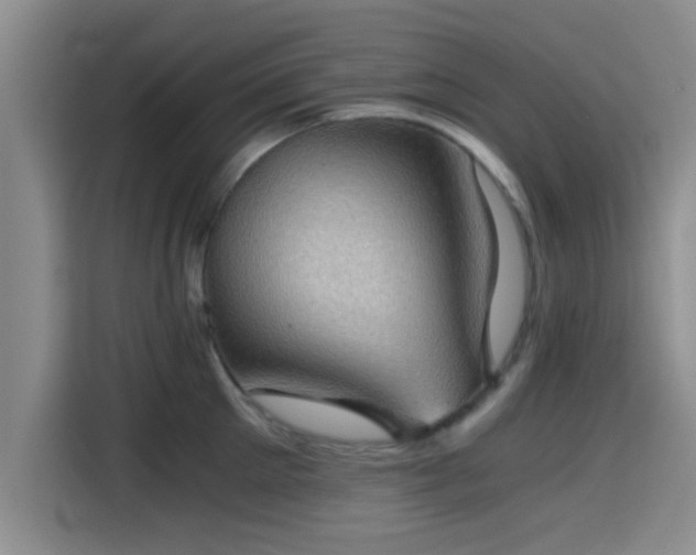 X0000115410905200911101609