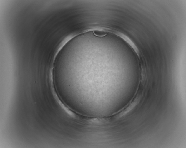 X0000115410906200911101609