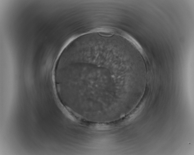X0000115410907200911101609