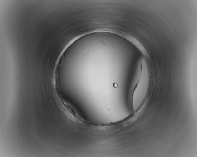 X0000115410908200911101609