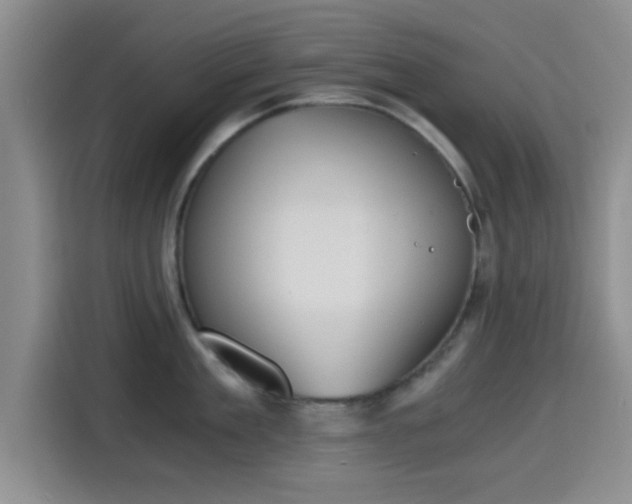 X0000115410909200911101609