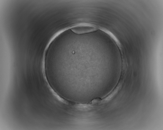 X0000115410910200911101609
