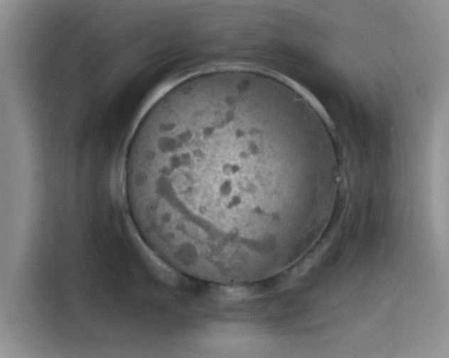X0000115410911200911101609