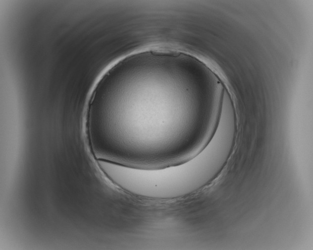 X0000115410912200911101609