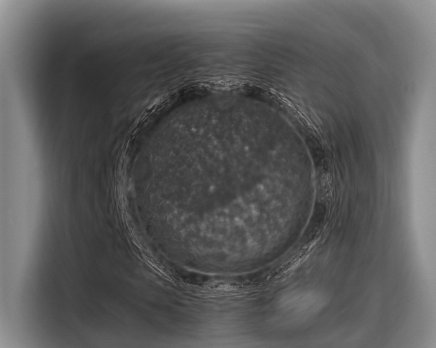 X0000115410913200911101608
