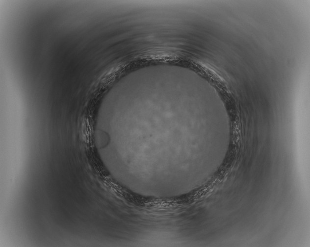 X0000115410917200911101608