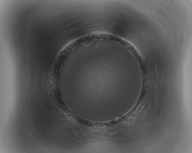 X0000115410919200911101608