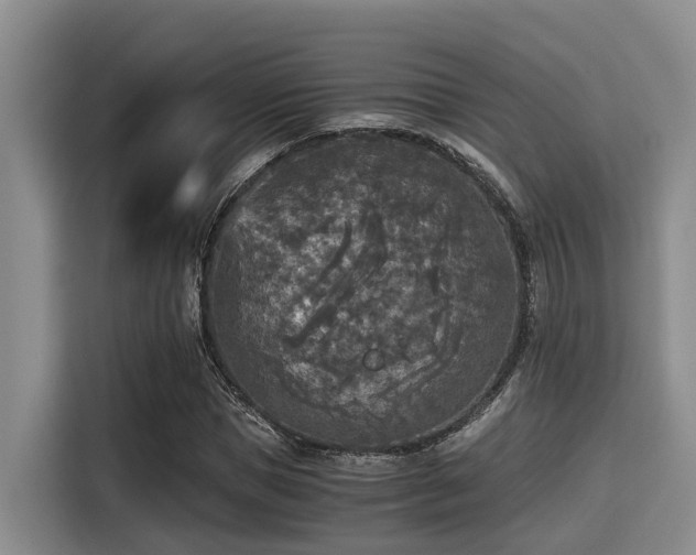 X0000115410921200911101608